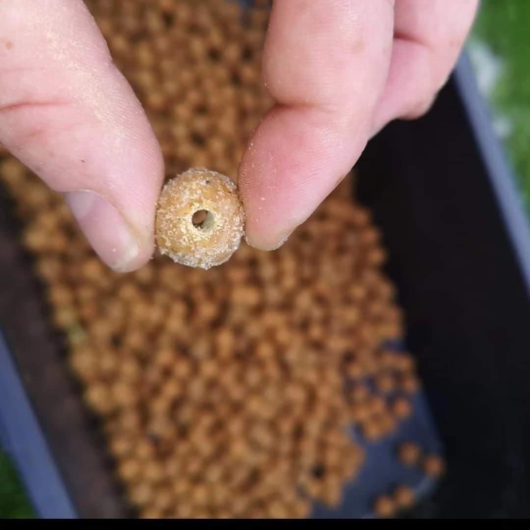 Salzabfüllung der BC Baits Boilies
