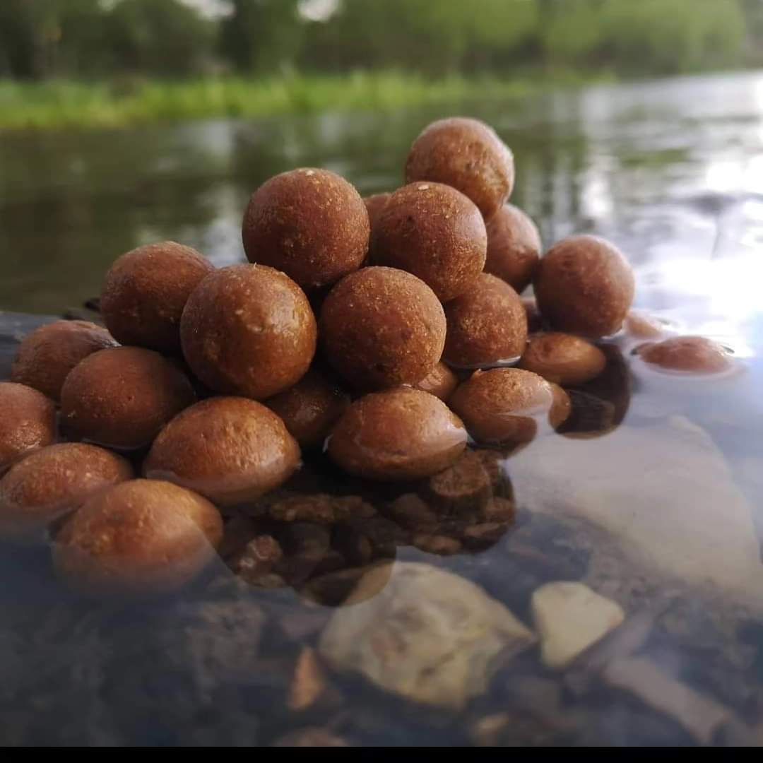 Boilies am Teichufer als BC Baits Range