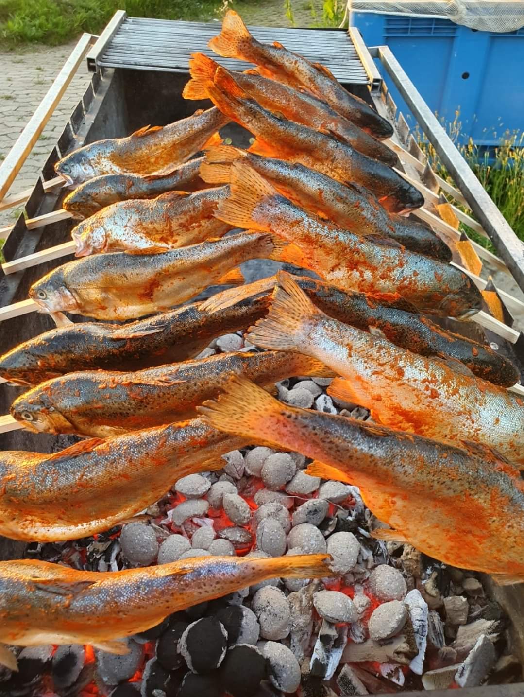 Steckerlfisch beim Grillen
