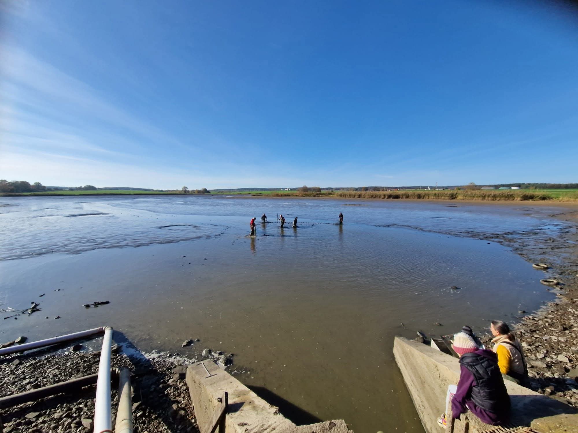 Besucher beobachten die Abfischung am Teich